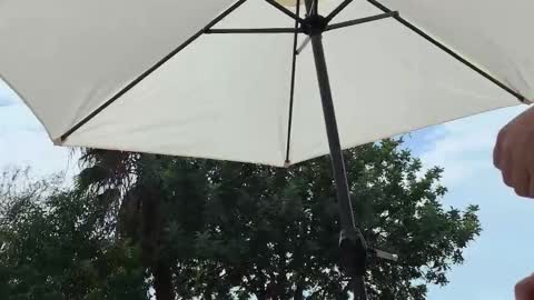 Julie and TheAverageGuy aka Max online show from 09.19.25