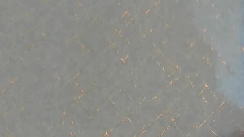 Snapshot of junosomnum chatting on 03.01.25 junosomnum online show from 03.01.25