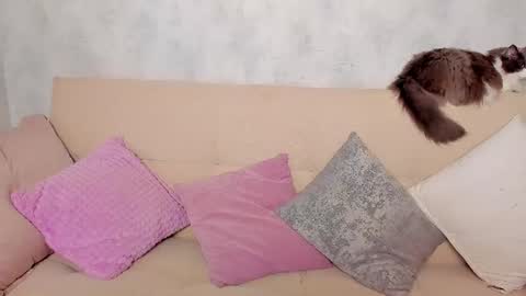 Snapshot of just_alex__ chatting on 06.24.26 Alex Alexandra online show from 06.24.26
