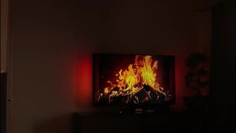 just_dakota_ online show from 02.19.26