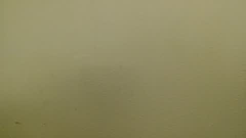 Snapshot of just_marlon chatting on 01.17.25 Just marlon online show from 01.17.25