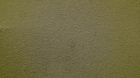 Snapshot of just_marlon chatting on 03.03.25 Just marlon online show from 03.03.25