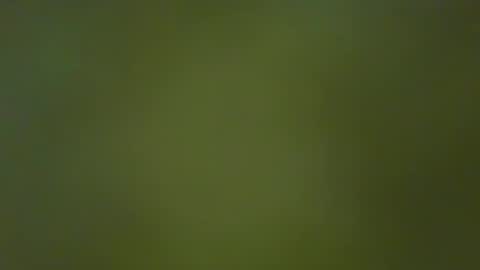 Snapshot of justbuff4 chatting on 01.23.25 McKeefer online show from 01.23.25