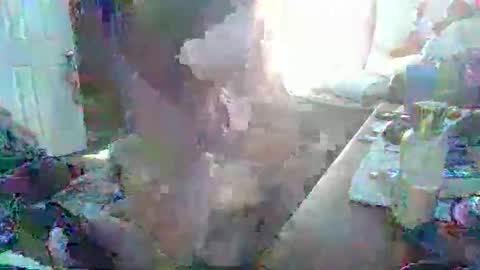 Snapshot of justintyme911128278 chatting on 03.19.26 justintyme911128278 online show from 03.19.26