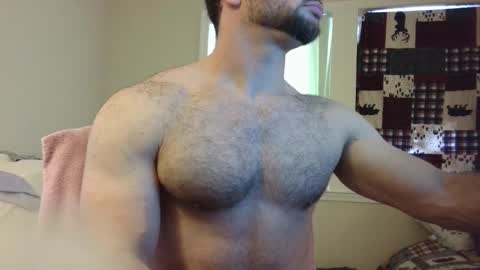 Wolf online show from 03.07.25