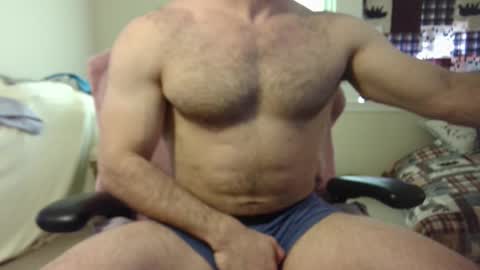 Wolf online show from 03.07.25