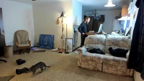 Kaiku77 online show from 01.06.26