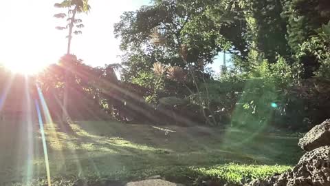 Kailee Smile online show from 09.10.25