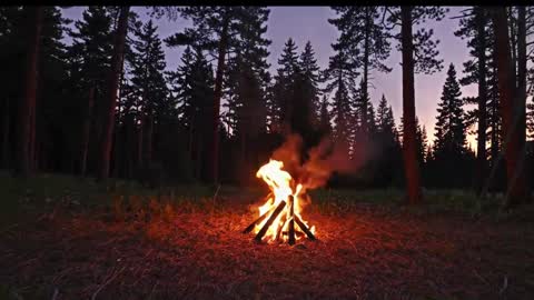 Kailee Smile online show from 01.09.26