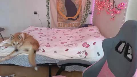 Kessy online show from 03.12.26