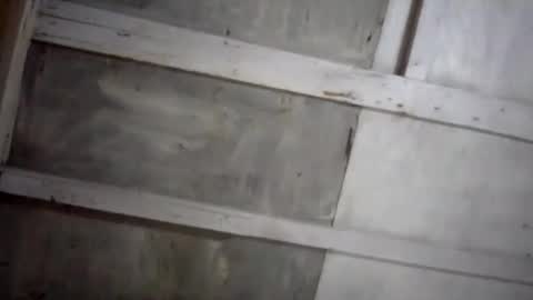 kakaroto30102 online show from 02.17.25