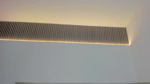 Carolina   online show from 11.19.25