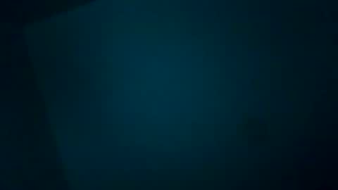 Karla Gonzaless online show from 11.11.25