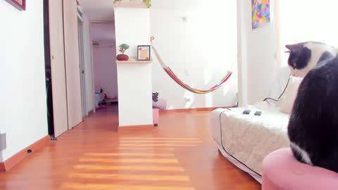 Karlye online show from 01.22.25