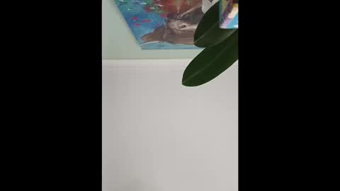 karnathra online show from 04.10.26