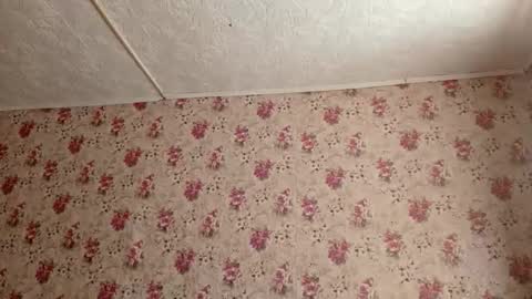 Sara online show from 02.27.26