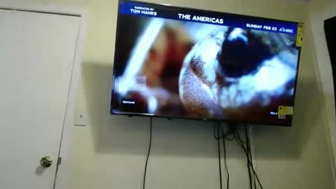 Snapshot of kashmoniy chatting on 02.11.25 kashmoniy online show from 02.11.25