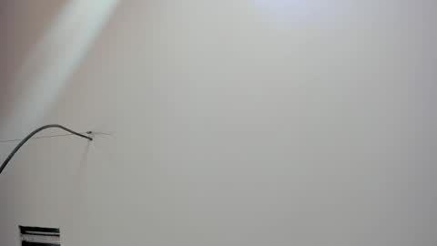 Snapshot of kate_bunny_ chatting on 02.18.26 Kate online show from 02.18.26