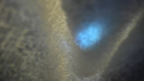 Snapshot of kate_bunny_ chatting on 04.16.26 Kate online show from 04.16.26