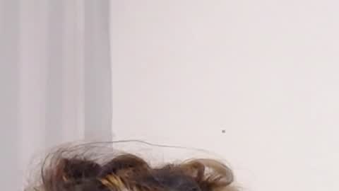 Help me with rate thanks  online show from 12.03.24