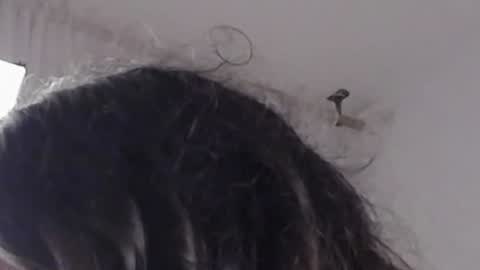 Help me with rate thanks  online show from 12.12.24