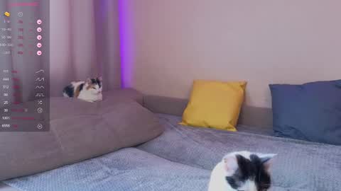 Snapshot of katerinnna chatting on 01.30.25 Katerina online show from 01.30.25