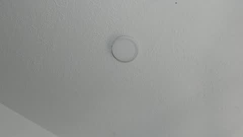 love meeee online show from 01.16.25