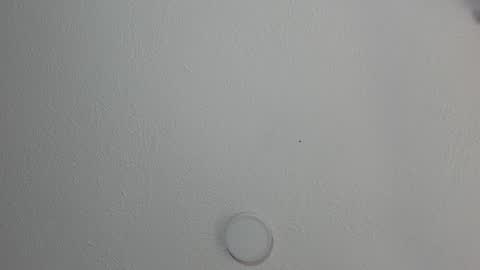 love meeee online show from 01.17.25