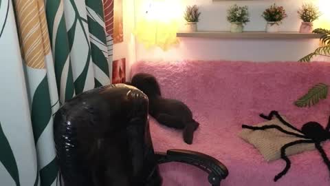 kathie_lozada online show from 10.31.25