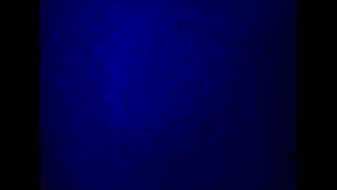 Snapshot of kathyfantasylover chatting on 03.05.25 kathy online show from 03.05.25