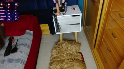 Arianna online show from 12.02.24