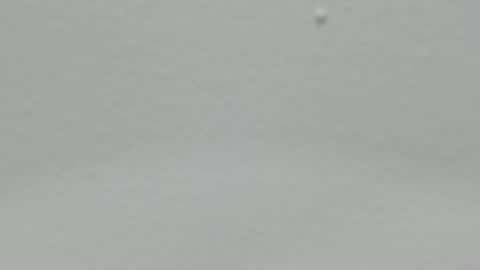 katy blonde girl and paola big boobs online show from 12.24.24