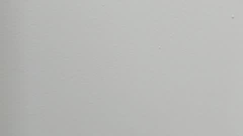 katy blonde girl and paola big boobs online show from 10.27.25