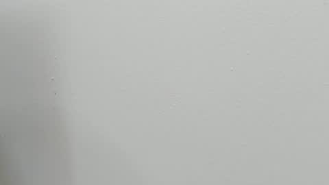 katy blonde girl and paola big boobs online show from 10.28.25