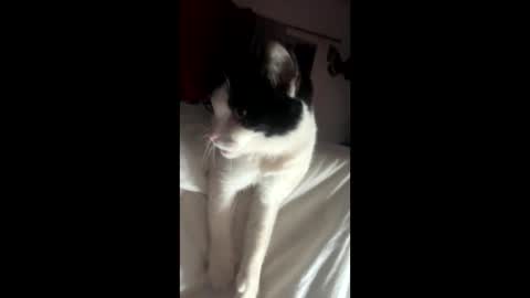 kay_la online show from 10.04.25