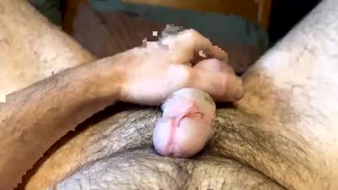 kb542643 online show from 11.18.25