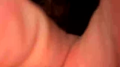 Snapshot of keepquietj chatting on 01.20.25 keepquietj online show from 01.20.25