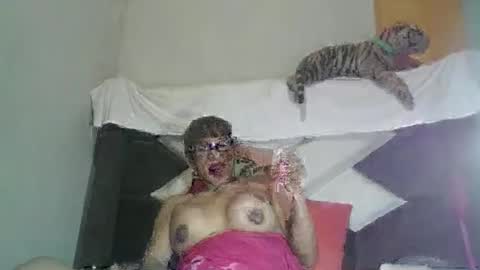 kelly_alisset online show from 03.12.26