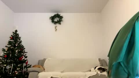 Snapshot of kennasoft chatting on 12.23.24 Kenna next time online - 2nd of Dec online show from 12.23.24