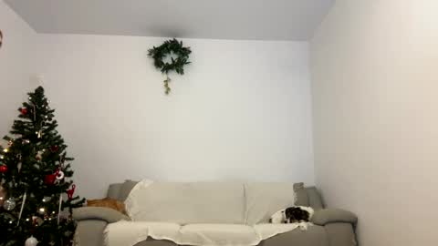 Snapshot of kennasoft chatting on 12.23.24 Kenna next time online - 2nd of Dec online show from 12.23.24