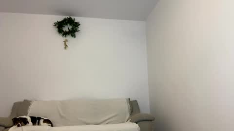 Snapshot of kennasoft chatting on 01.15.25 Kenna next time online - 2nd of Dec online show from 01.15.25