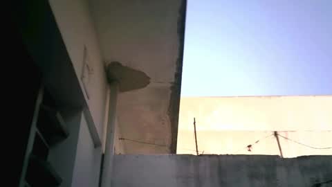 keny06 online show from 02.04.25