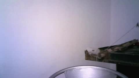 keny06 online show from 02.12.25