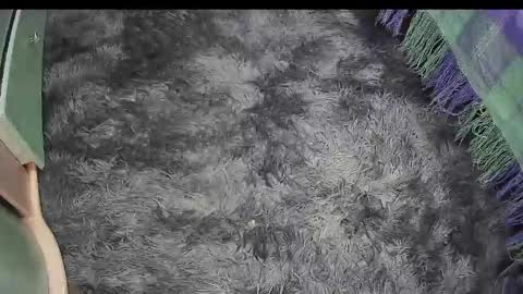 Snapshot of keylasmmith chatting on 04.18.26 Keyla online show from 04.18.26