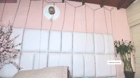    N         M online show from 02.10.25