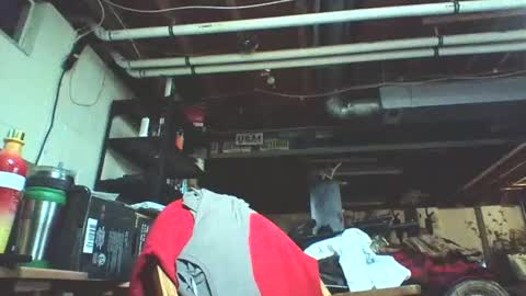 kick_1_down online show from 12.11.24