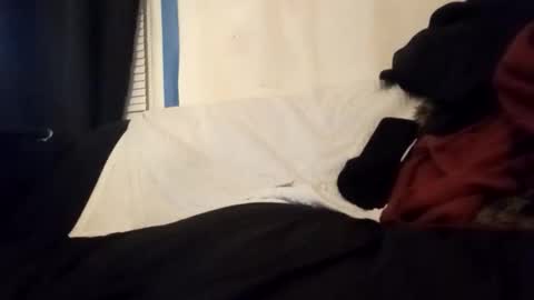 Frankie online show from 01.14.26