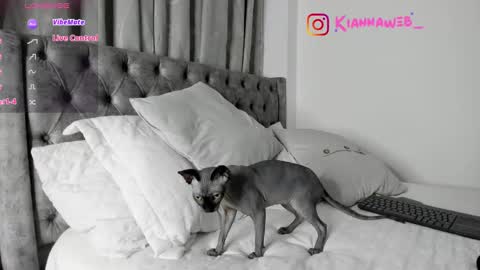 INSTAGRAM Kiannaweb  online show from 02.28.25