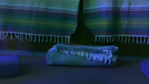 Snapshot of kim_kim69 chatting on 10.13.25 Kim online show from 10.13.25