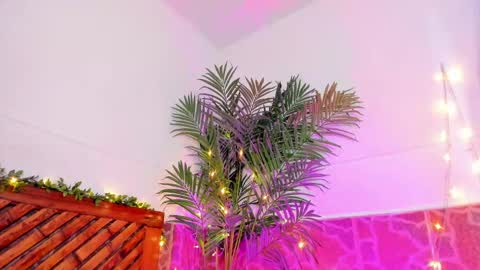 kimberly gonzalez online show from 01.11.25